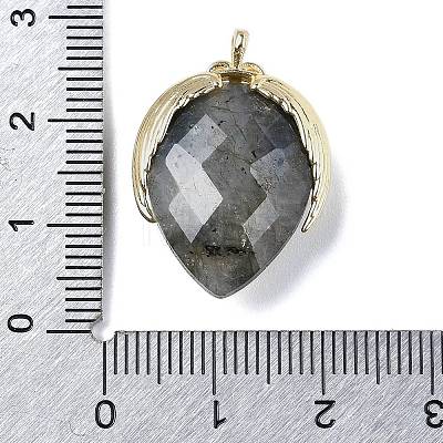 Natural Labradorite Pendants G-U019-01G-02-1