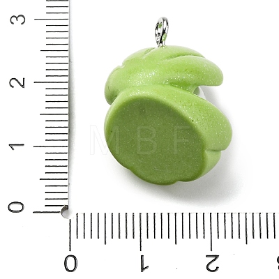 Opaque Resin Pendants RESI-P043-01P-05-1