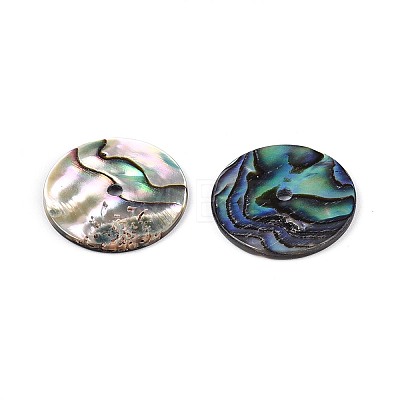 Natural Paua Shell Beads SSHEL-N040-20B-1