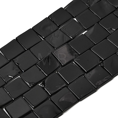 Natural Freshwater Shell Beads Strands SHEL-A006-02-1