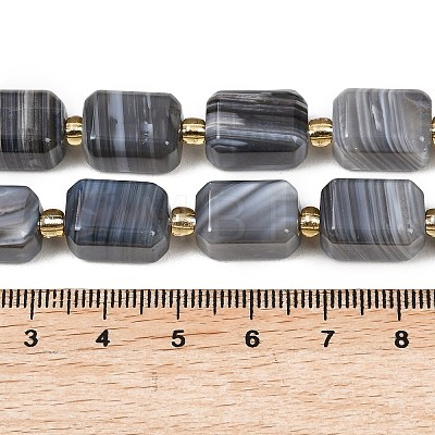 Natural Botswana Agate Beads Strands G-P611-A01-02-1