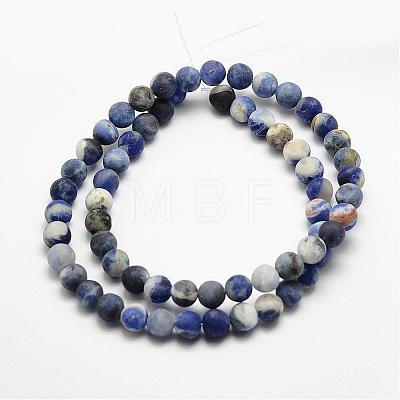 Natural Sodalite Beads Strands G-J364-01-6mm-1