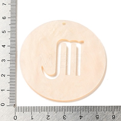 Acrylic Pendants SACR-S680-06K-1
