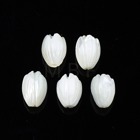 Natural Trochid Shell/Trochus Shell Beads SSHEL-T014-33-1