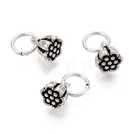 925 Sterling Silver Seedpod of The Lotus Charms STER-T009-02AS-1