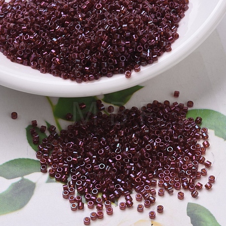 MIYUKI Delica Beads Small X-SEED-J020-DBS0105-1