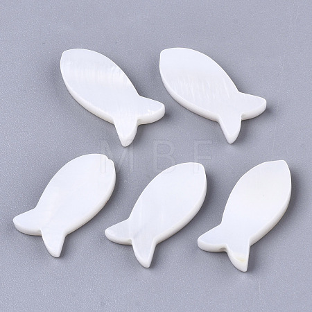 Natural Freshwater Shell Beads SSHEL-R049-04-1