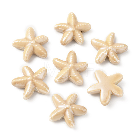Handmade Porcelain Beads PORC-WH0016-01G-1