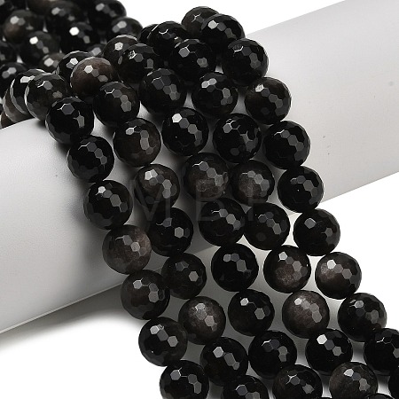 Natural Silver Obsidian Beads Strands G-C280-B08-10mm-1