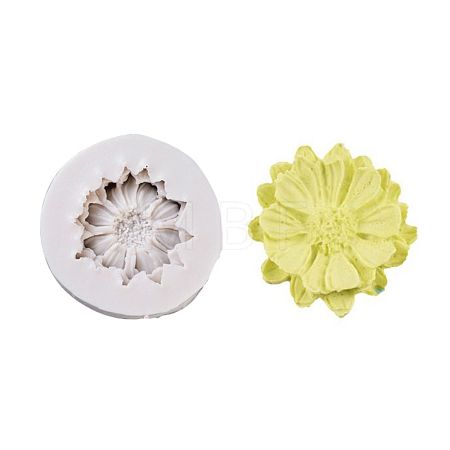 Food Grade Silicone Molds DIY-E018-39-1