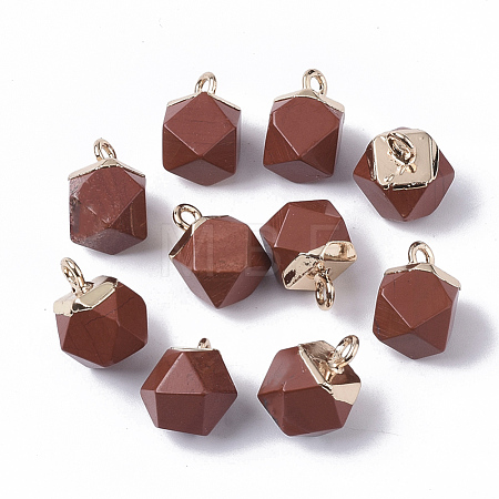 Natural Red Jasper Charms G-S359-015C-1