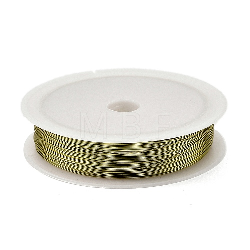 Baking Painted Iron Wire MW-NH0001-03B-1