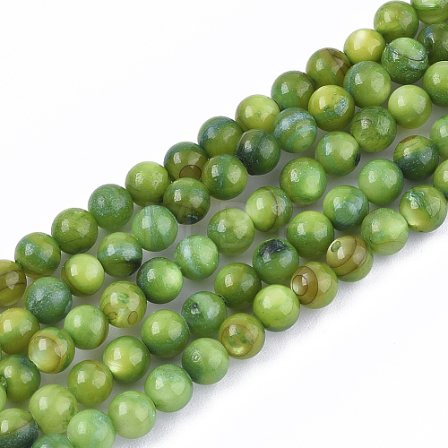 Freshwater Shell Beads Strands X-SHEL-S276-32D-1