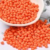 6/0 Opaque Baking Paint Glass Seed Beads X1-SEED-M012-02A-05-1