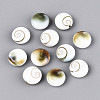 Natural Shiva Eye Shell Beads BSHE-T014-33B-1
