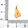 304 Stainless Steel Enamel Charms STAS-A106-01G-04-3