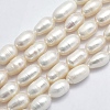 Natural Cultured Freshwater Pearl Beads Strands PEAR-F007-78-01-1