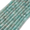 Natural Amazonite Beads Strands G-P608-A05-01-2