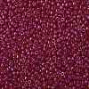 TOHO Round Seed Beads SEED-JPTR08-0165B-2