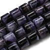 Natural Agate Beads Strands G-F820-P01-01B-2