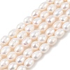 Natural Cultured Freshwater Pearl Beads Strands PEAR-I007-01D-06A-02-2