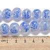 Handmade Lampwork Beads Strands LAMP-L079-05D-4