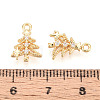 Brass Micro Pave Cubic Zirconia Charms LS-KK-N263-145A-G-3
