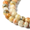 Natural Crazy Lace Agate Round Bead Strands X-G-E334-4mm-20-4