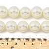 Round Shell Pearl Beads Strands BSHE-XCP0001-25C-02-4