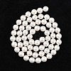 Shell Bead Strands BSHE-R146-6mm-02-3