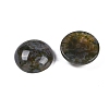 Natural Indian Agate Cabochons G-T020-18mm-38-2