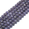Natural Lepidolite/Purple Mica Stone Beads Strands G-P573-B05-01-2