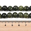 Natural Gemstone Beads Z0NCT013-4