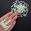 6/0 Glass Seed Beads SEED-T005-14-B17-6