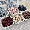 Opaque Acrylic European Beads OACR-I011-04-1