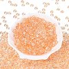 Transparent Colours Glass Seed Beads SEED-Q042-01A-A03-2
