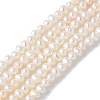 Natural Cultured Freshwater Pearl Beads Strands PEAR-I007-07K-05-2