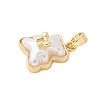 Brass Resin Pendants KK-S507-19G-2