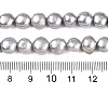 Natural Cultured Freshwater Pearl Beads Strands X-PEAR-R064-24-3