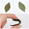 100Pcs Cloth Artificial Leaves AJEW-CY0002-81-6