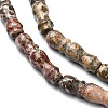 Natural Leopard Skin Jasper Beads Strands G-C135-C01-01-3