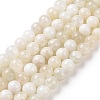 Natural White Moonstone Beads Strands G-F674-08-8mm-01-4