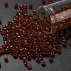 TOHO 6/0 Round Beads SEED-XTR06-2154-1