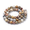 Natural Crazy Lace Agate Beads Strands G-S259-38-8mm-2