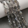 Natural Labradorite Nuggets Beads Strands G-J335-40-1