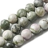 Natural Peace Jade Beads Strands X-G-E598-04B-2