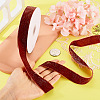 10 Yards Polyester Velvet Ribbon OCOR-TA0004-13E-6