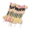 10 Skeins 6-Ply Polyester Embroidery Floss OCOR-K006-A50-1