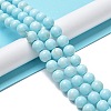 Natural Howlite Beads Strands G-E604-B02-C-2