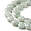 Natural Myanmar Jade/Burmese Jade Beads Strands G-C238-15-4